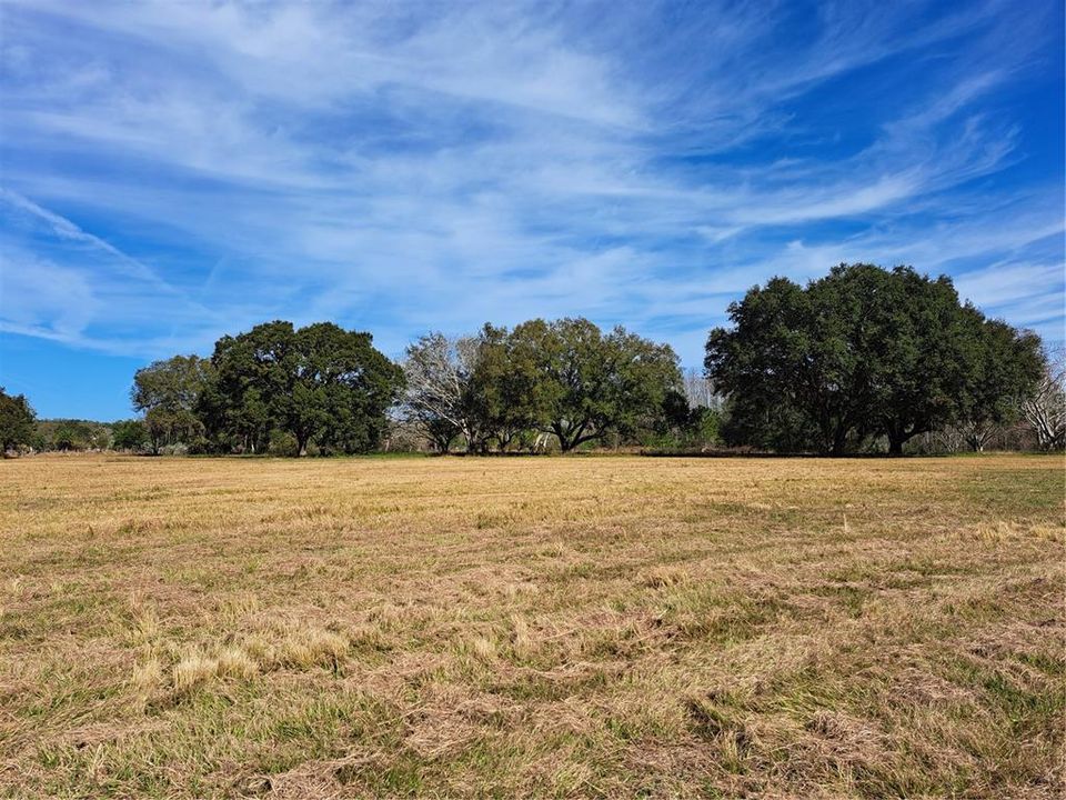 Недавно продано: $649,000 (29.66 acres)