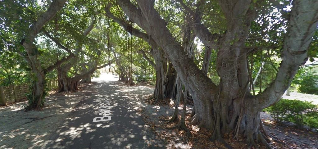 Banyan St Boca Grande.... Great place to stop and take pictures...