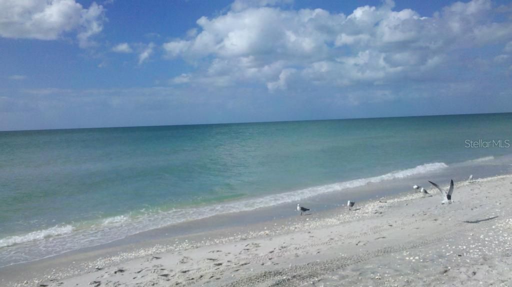 Boca Grande Beach