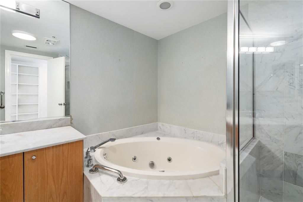 Primary Bath with Shower and separate Tub