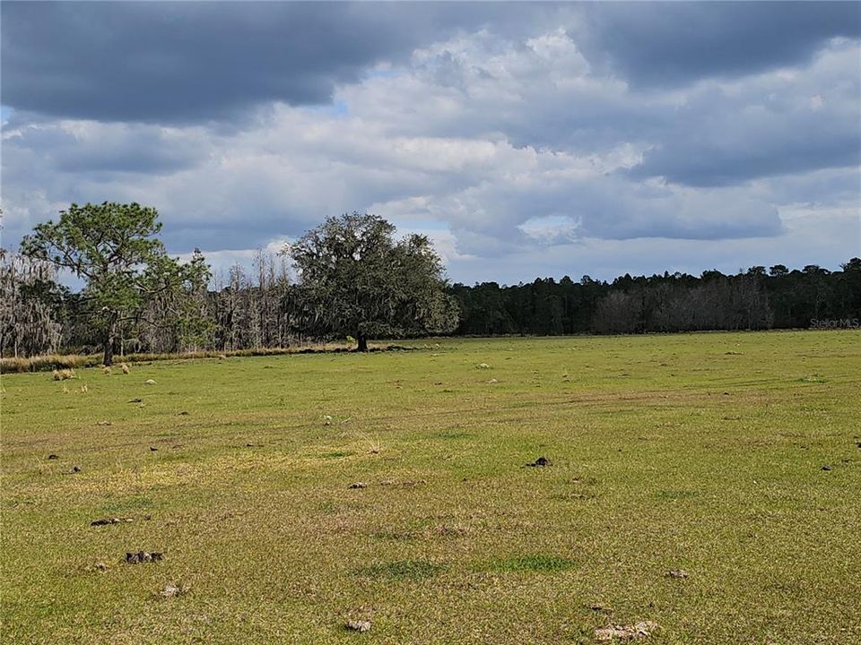 For Sale: $11,000 (1.25 acres)