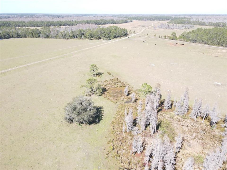 For Sale: $11,000 (1.25 acres)