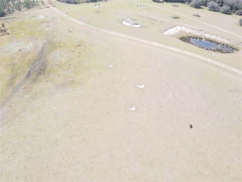 For Sale: $11,000 (1.25 acres)