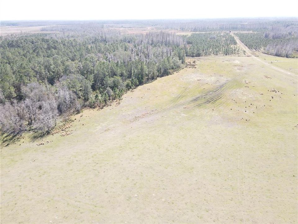 For Sale: $11,000 (1.25 acres)