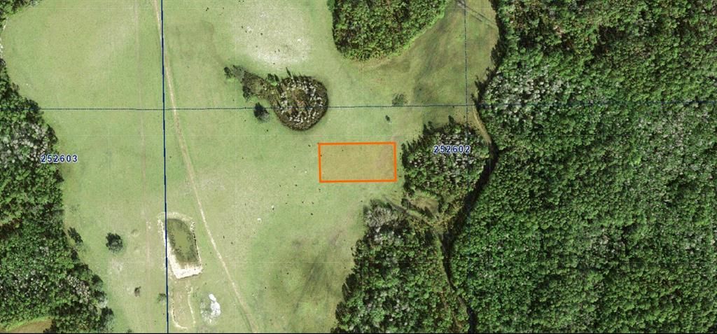 For Sale: $11,000 (1.25 acres)