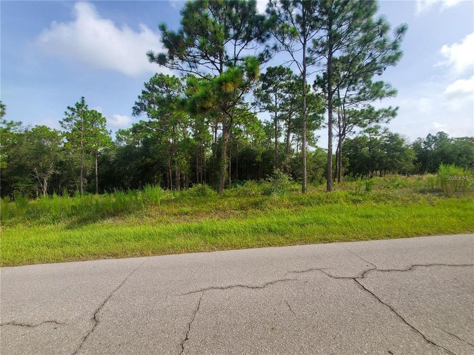 Recently Sold: $30,000 (1.00 acres)