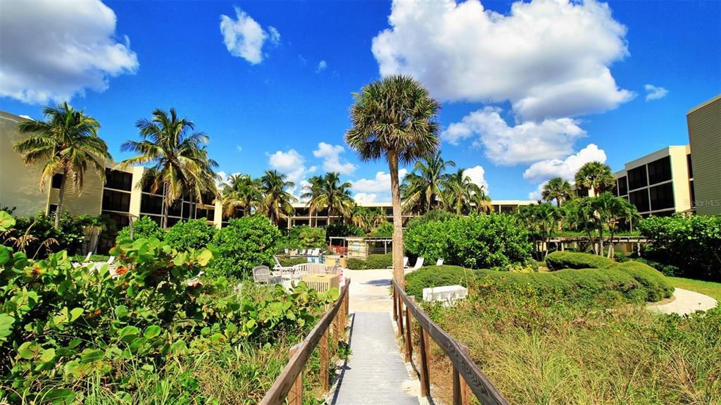 Walkway to Beach