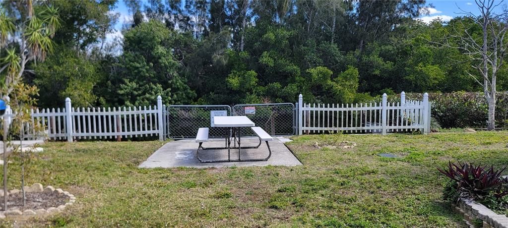 Kayak Launch/ Fishing Pier