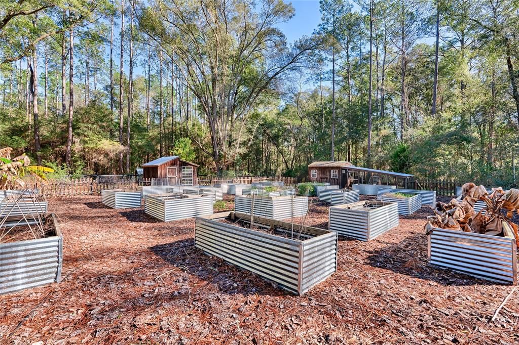 Raised Gardening Beds