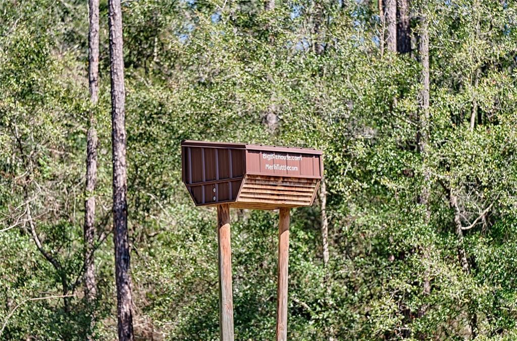 Bat House