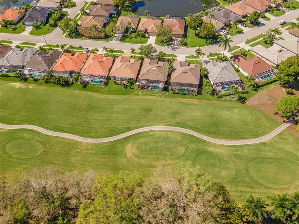 Aerial golf cart view and line of homes
