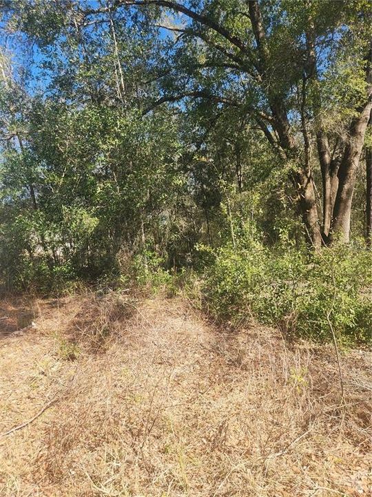 Active With Contract: $22,999 (0.26 acres)