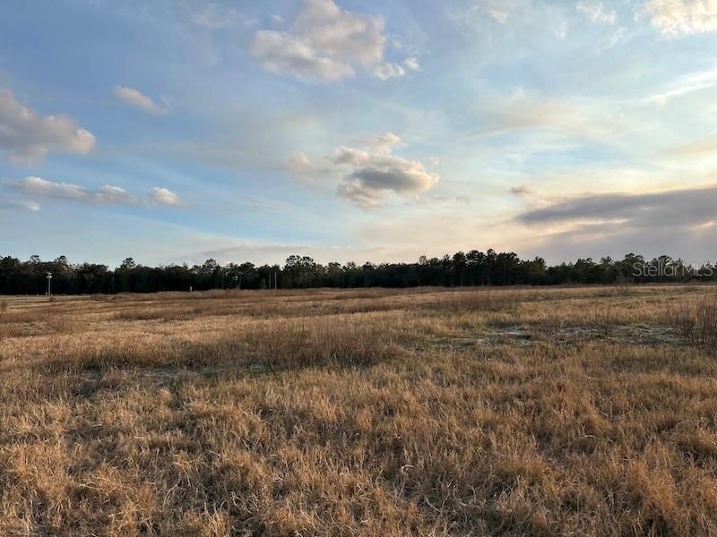 Recently Sold: $149,000 (10.01 acres)