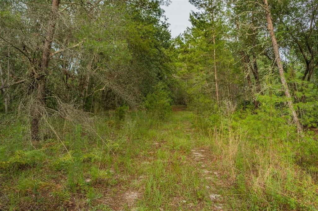 For Sale: $8,990 (0.28 acres)