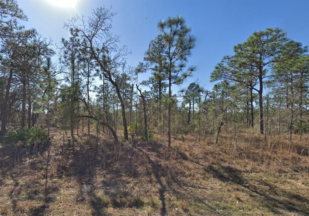 Active With Contract: $35,000 (0.46 acres)