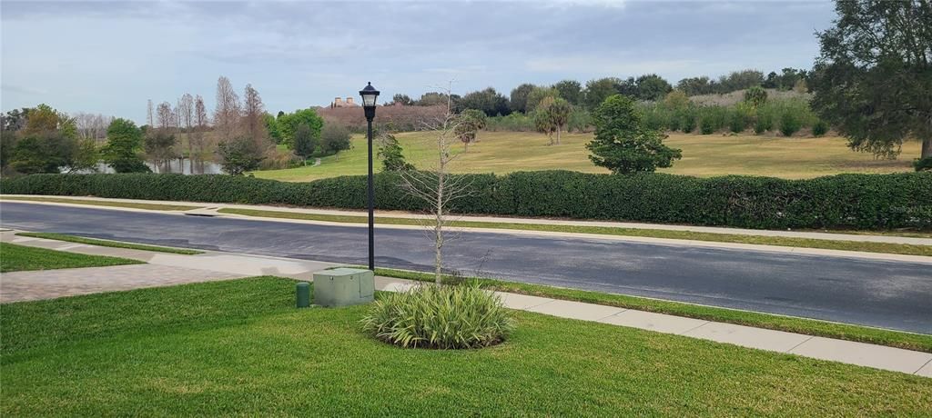 FRONT YARD STREET VIEW