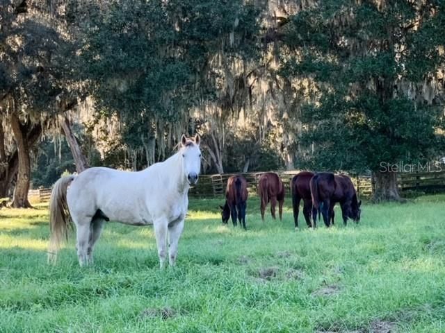 En Venta: $3,995,000 (4 camas, 4 baños, 4809 Pies cuadrados)