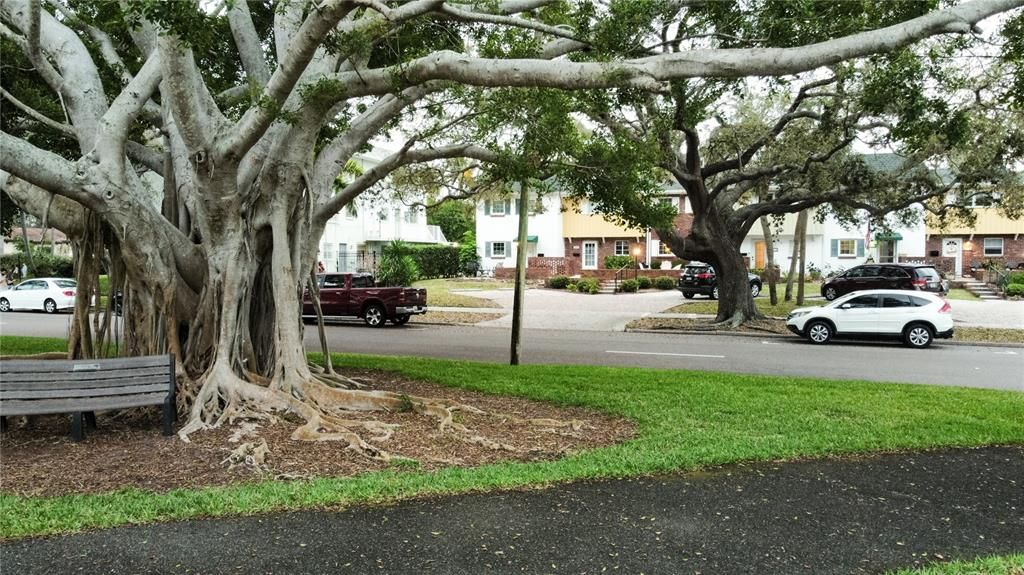 View from front door