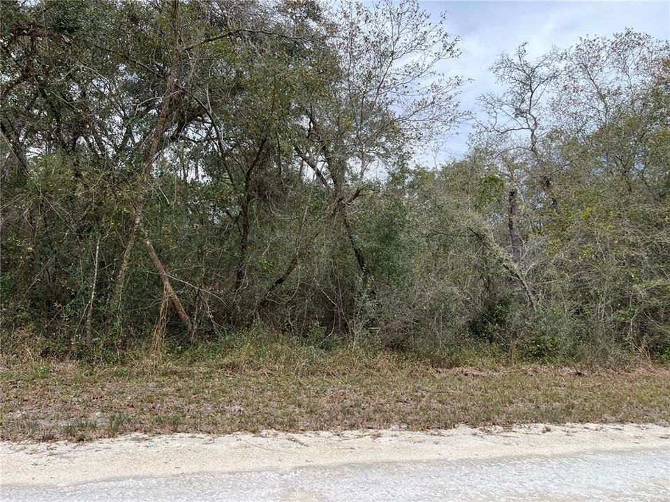 For Sale: $31,000 (1.16 acres)