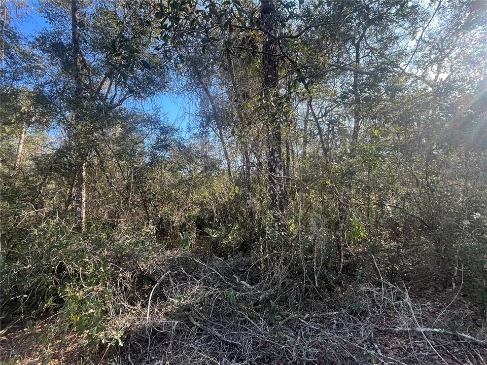 Recently Sold: $29,900 (1.76 acres)