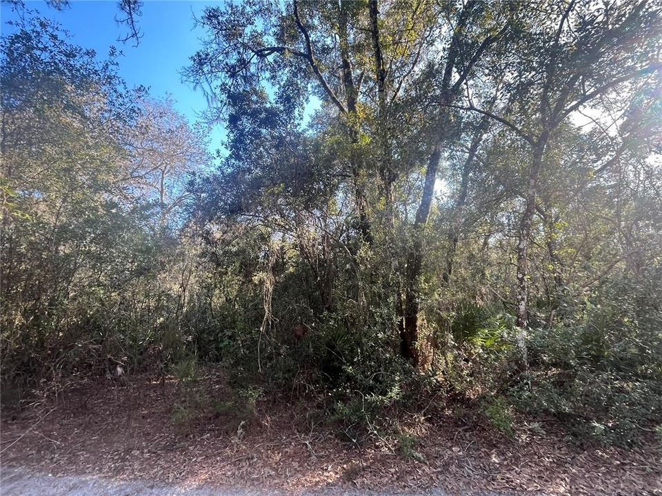 Recently Sold: $29,900 (1.76 acres)