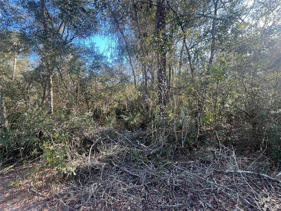 Recently Sold: $29,900 (1.76 acres)