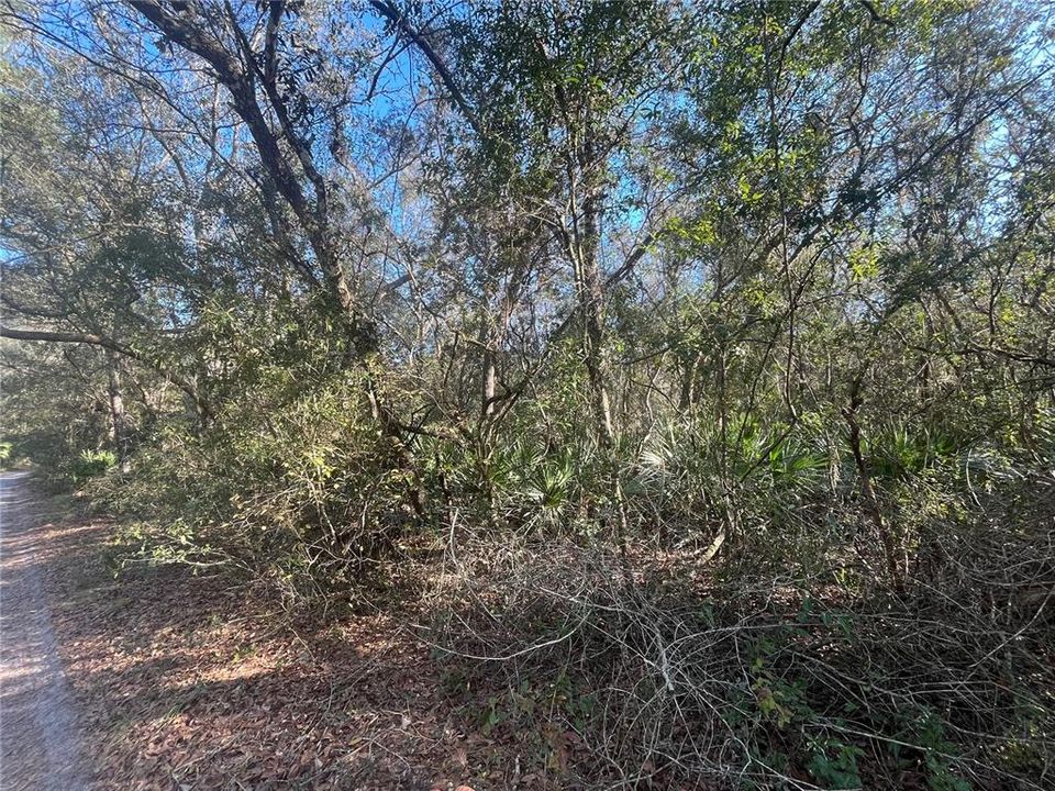 Recently Sold: $29,900 (1.76 acres)