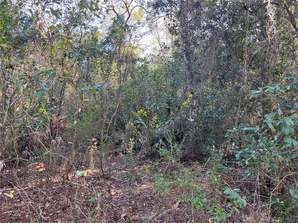 Recently Sold: $29,900 (1.76 acres)