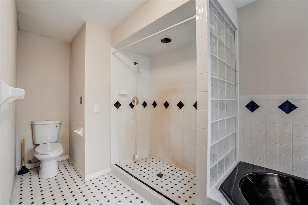 Master bathroom with walk in shower and garden tub