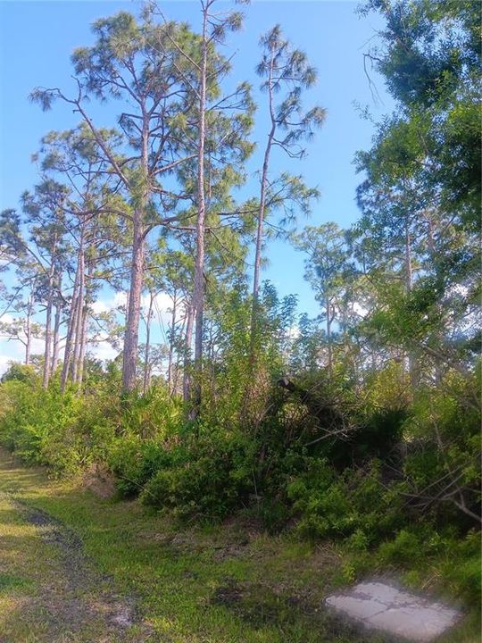Recently Sold: $18,000 (0.23 acres)