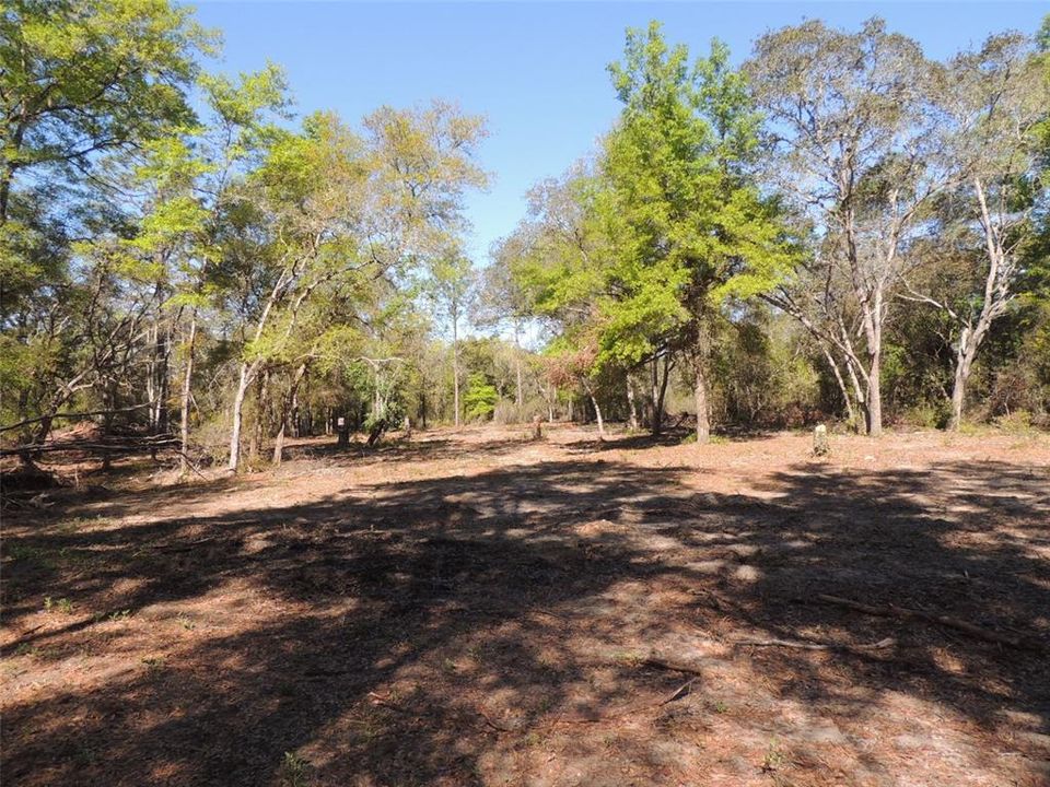 Active With Contract: $24,500 (1.25 acres)