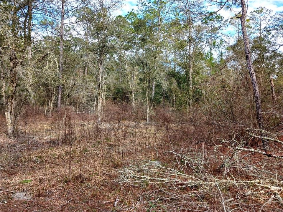 Recently Sold: $49,000 (5.00 acres)