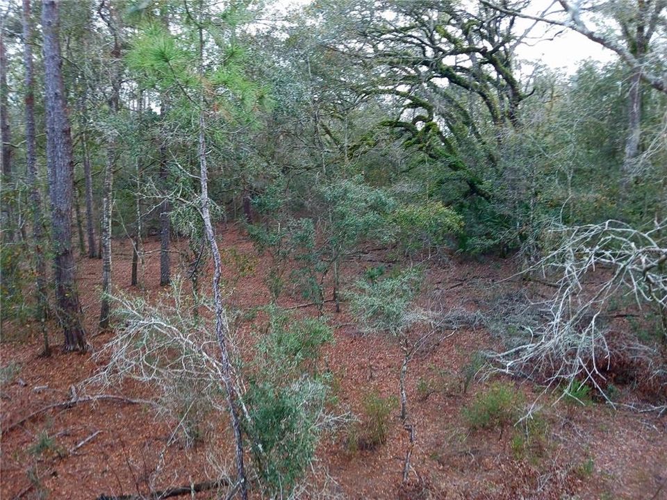 Recently Sold: $49,000 (5.00 acres)