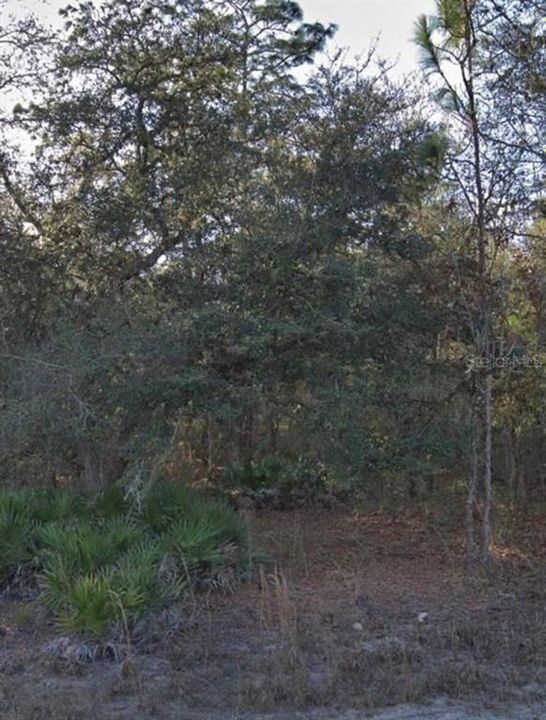 Active With Contract: $39,500 (1.16 acres)