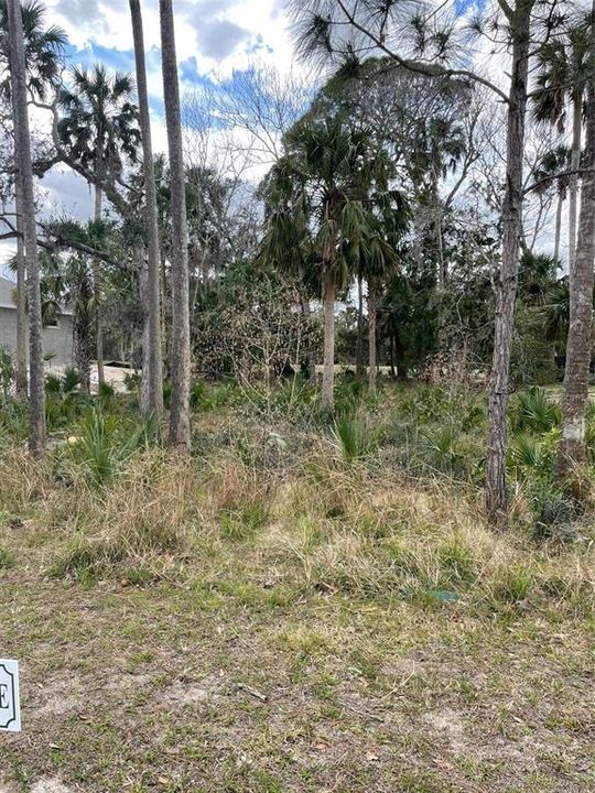 Build your dream home on this oversized lot