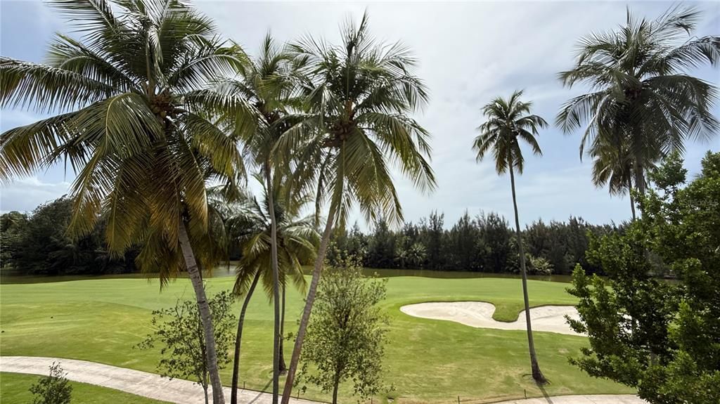 待售: $11,995,000 (6 贝兹, 6 浴室, 8100 平方英尺)