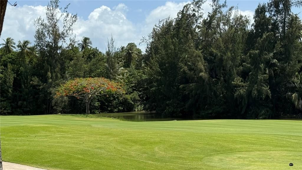 待售: $11,995,000 (6 贝兹, 6 浴室, 8100 平方英尺)