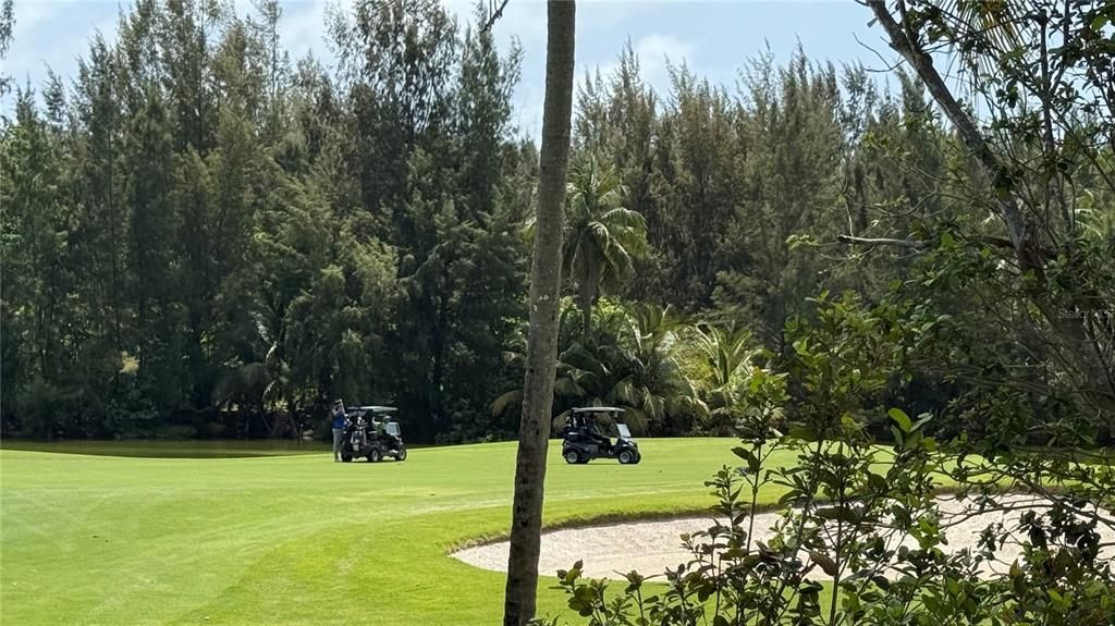 待售: $11,995,000 (6 贝兹, 6 浴室, 8100 平方英尺)