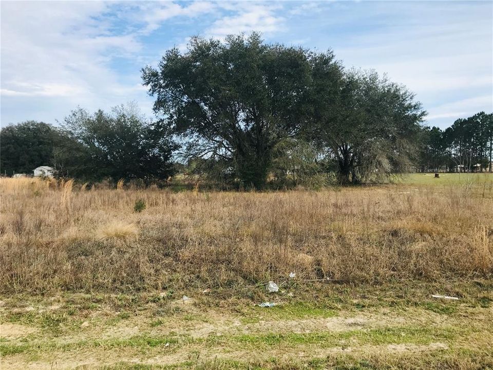 Recently Sold: $24,300 (1.01 acres)