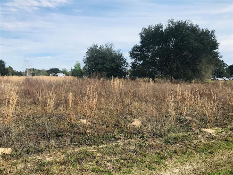 Recently Sold: $24,300 (1.01 acres)