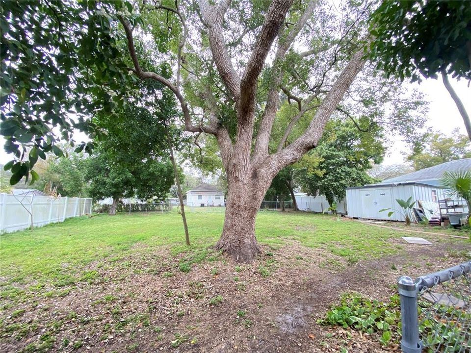 Backyard - oversized lot