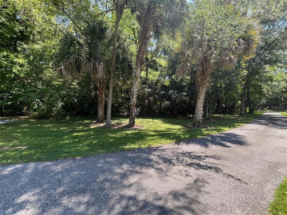 View from front door