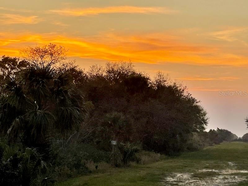 合同活跃: $30,000 (1.25 acres)