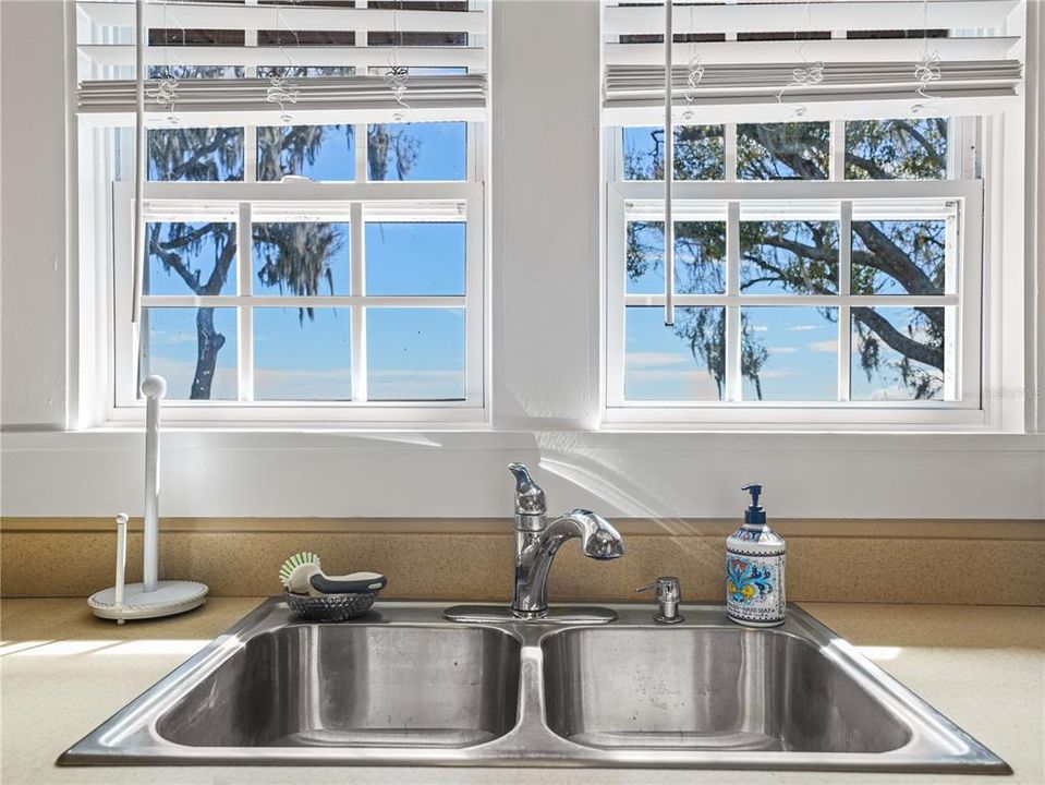 VIEW OF LAKE FROM SINK