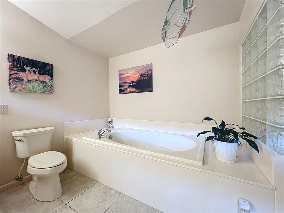 master bath with jetted tub