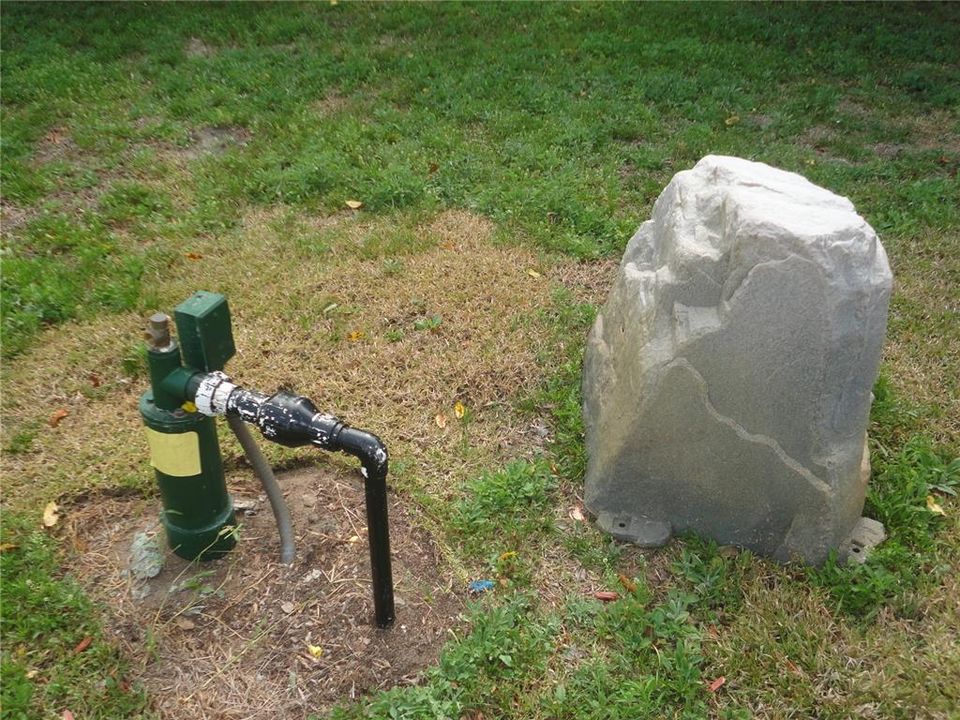 Irrigation well with cover