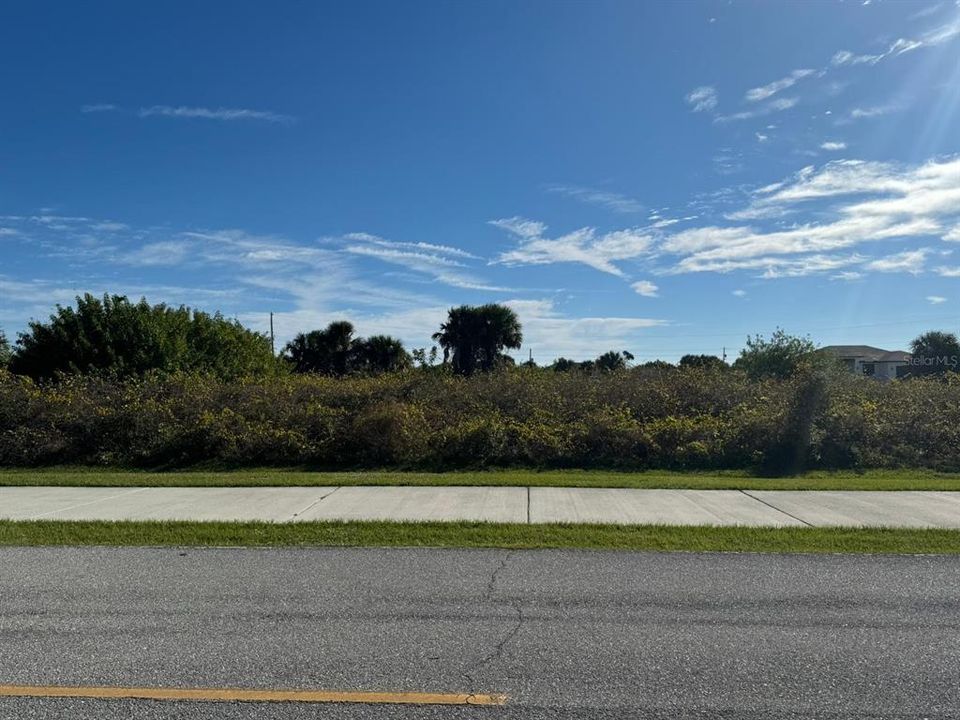 View of the lot from the street