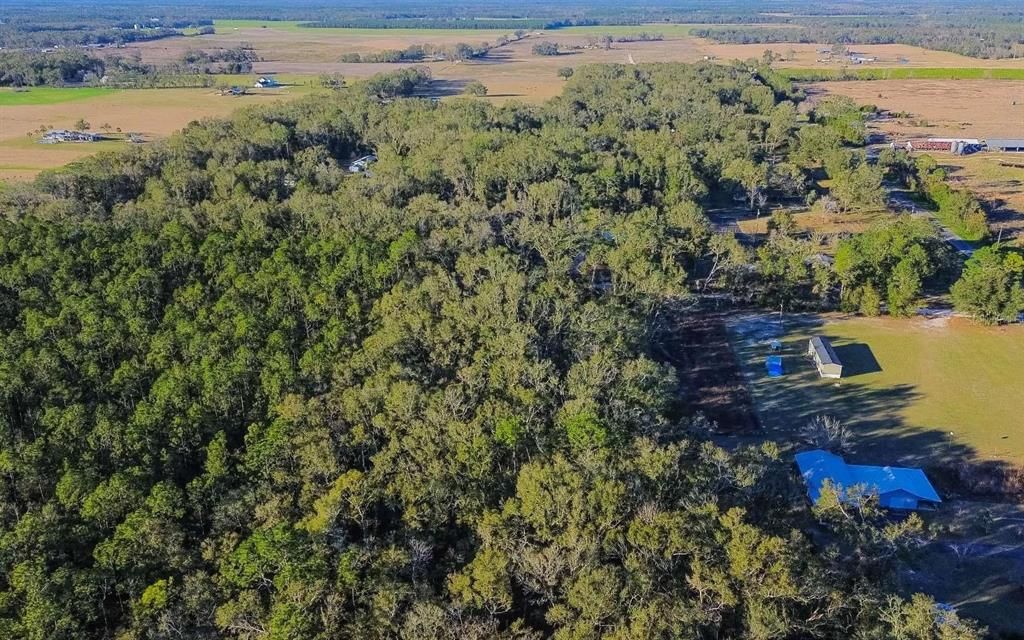 For Sale: $63,400 (5.00 acres)