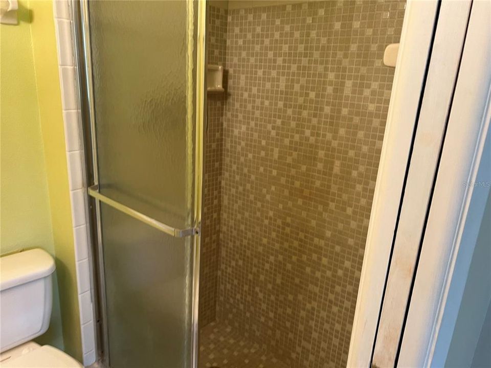 Primary Bathroom shower