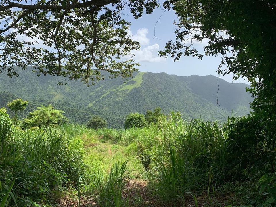 最近售出: $30,000 (5.00 acres)